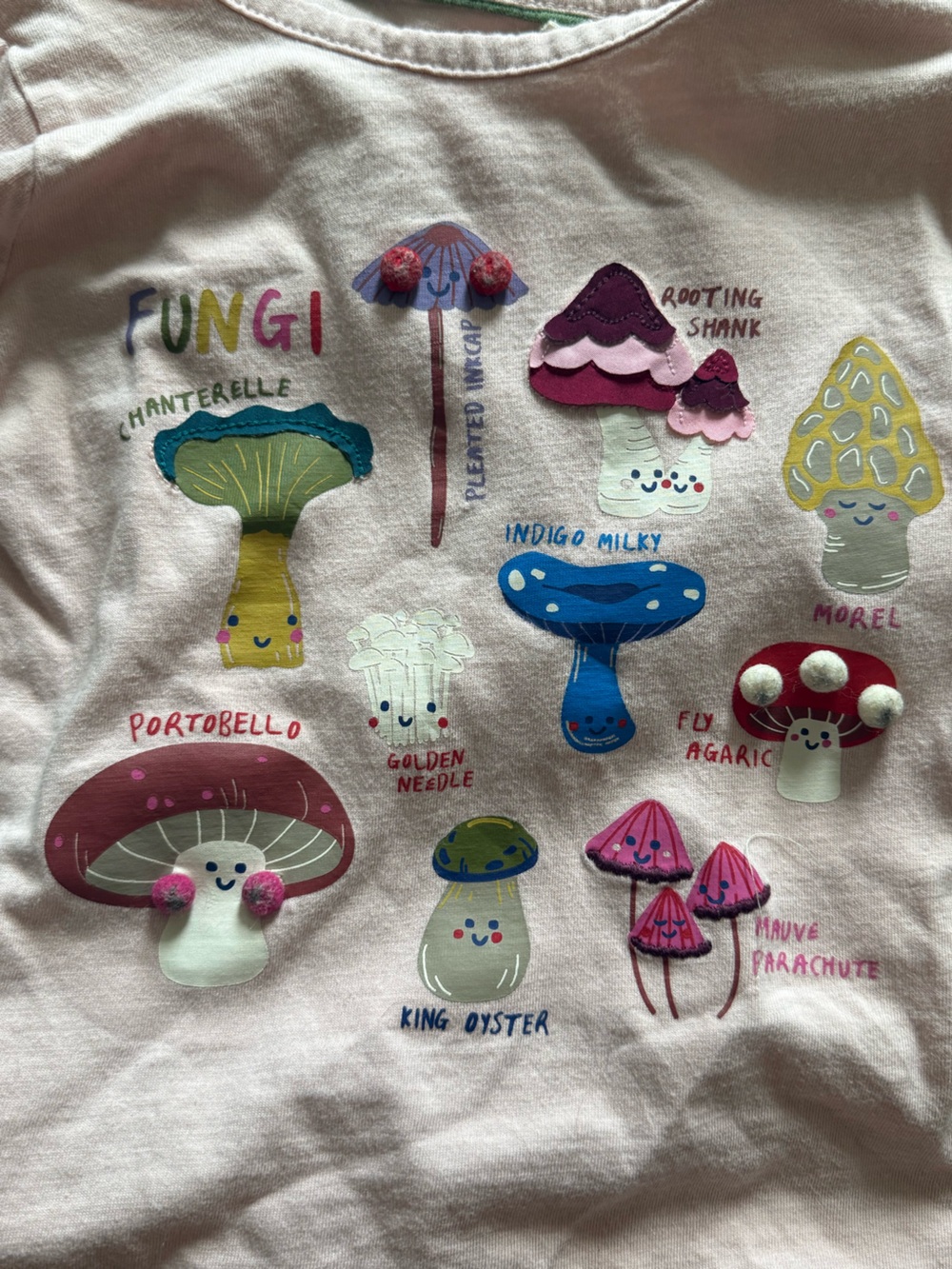 Boden Pink Long Sleeve Tee with Colorful Mushroom Fungi Graphics
